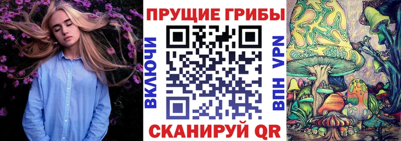 Псилоцибиновые грибы GOLDEN TEACHER Волжск