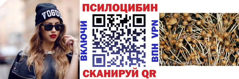 Галлюциногенные грибы MAGIC MUSHROOMS  Волжск 